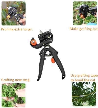 61-d7B2DCuL._AC_SL1101_